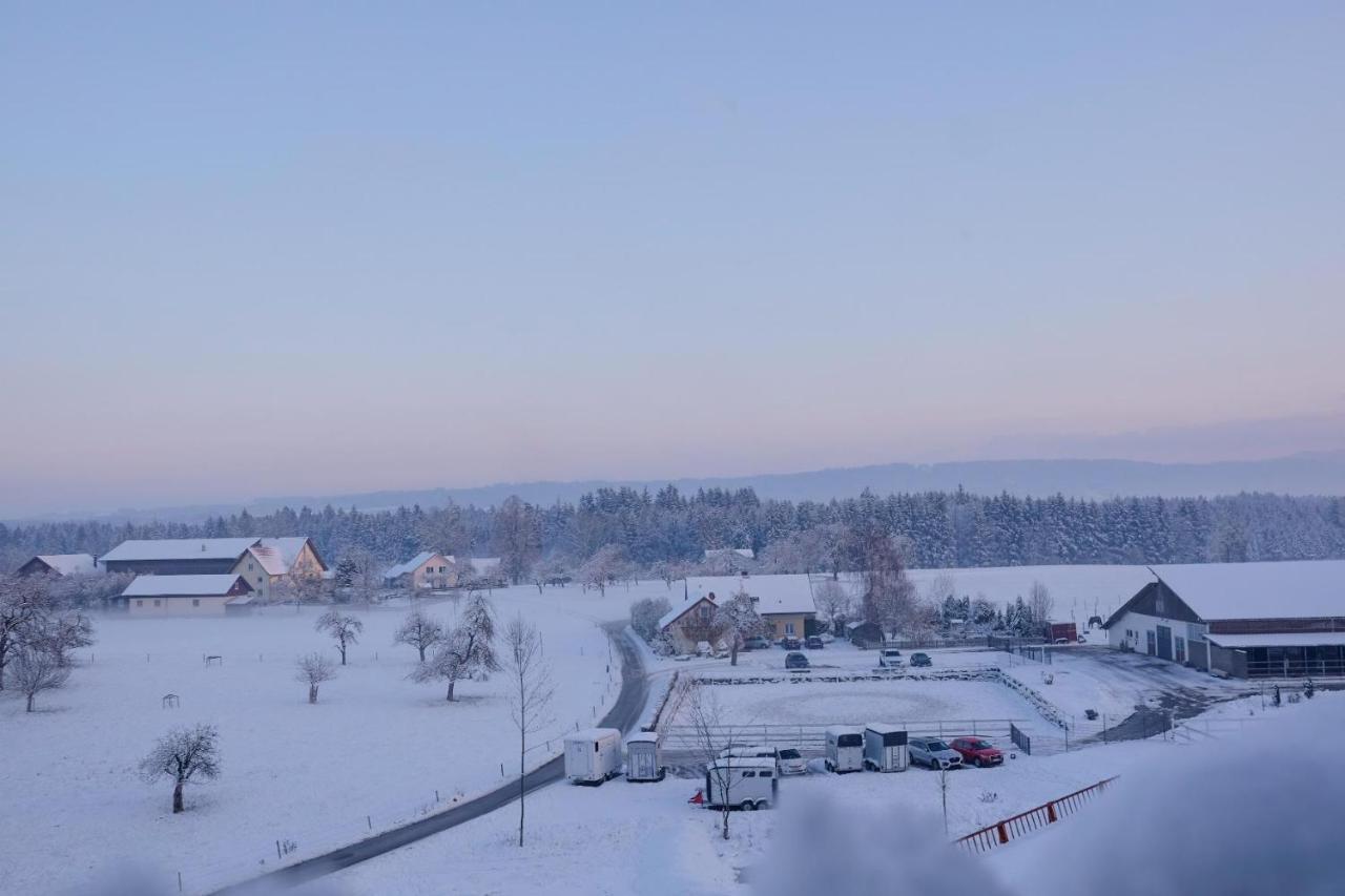 Trautesheim Ferienwohnungen Wangen im Allgäu Buitenkant foto