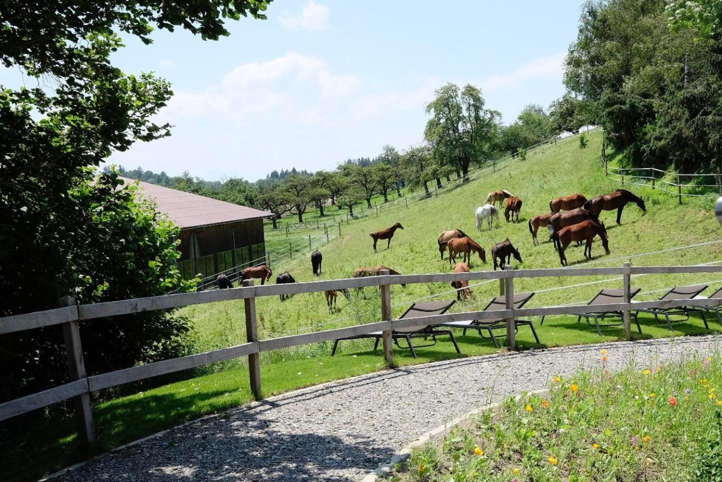 Trautesheim Ferienwohnungen Wangen im Allgäu Buitenkant foto