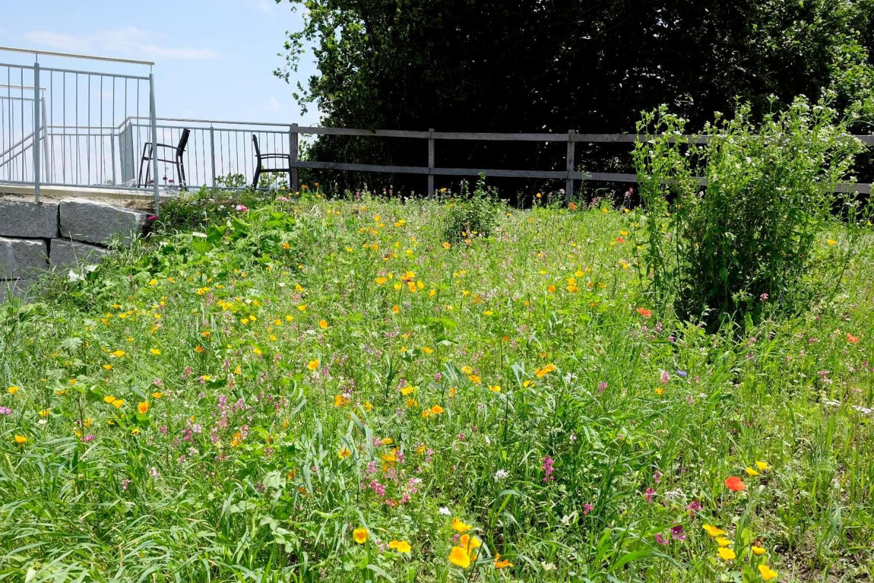 Trautesheim Ferienwohnungen Wangen im Allgäu Buitenkant foto