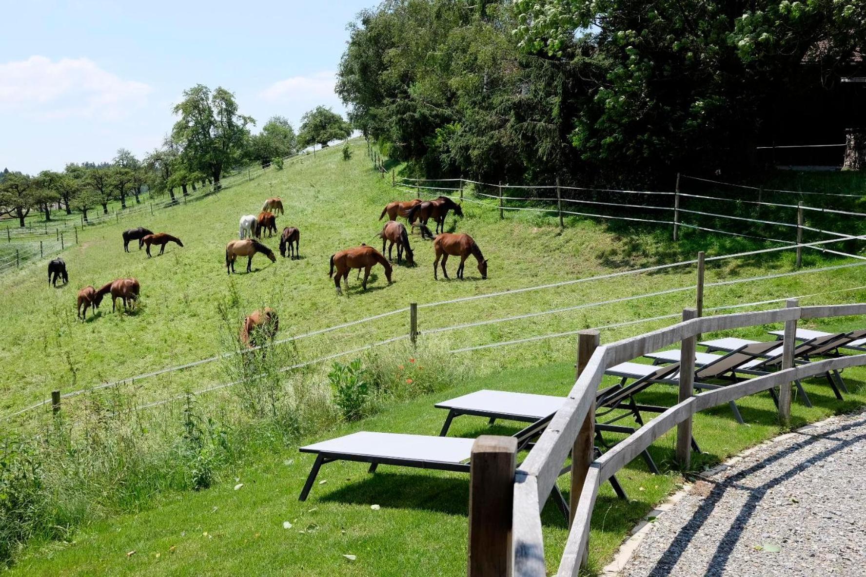 Trautesheim Ferienwohnungen Wangen im Allgäu Buitenkant foto